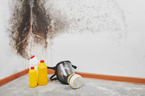 Best Emergency Mold Removal  in Villa Hills, KY